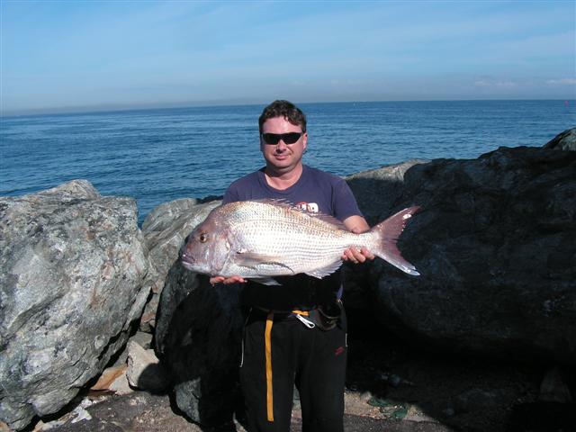 Snapper from the Stones.